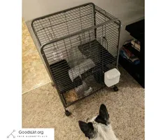 Rodent cage - $50 (Dover Foxcroft)